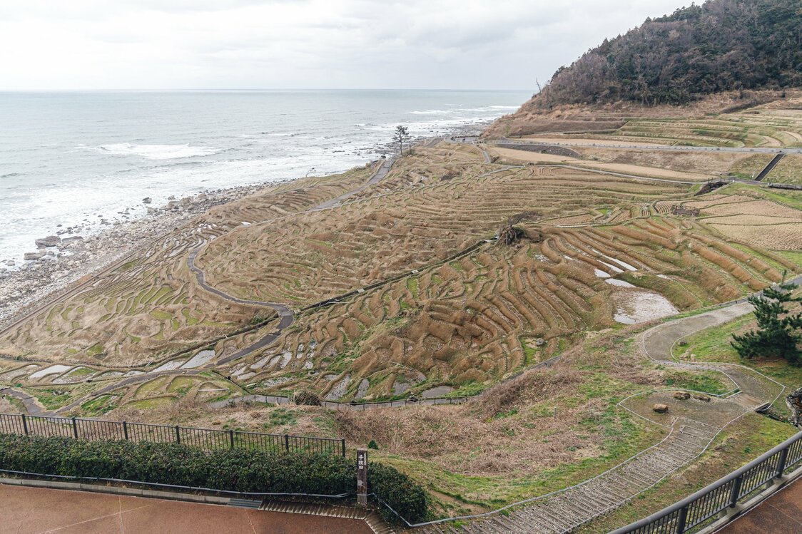 Shiroyone Senmaida est constitué de 1 004 rizières en terrasse. Le tremblement de terre a provoqué de nombreuses fissures. (Commune de Wajima, le 2 février 2024)