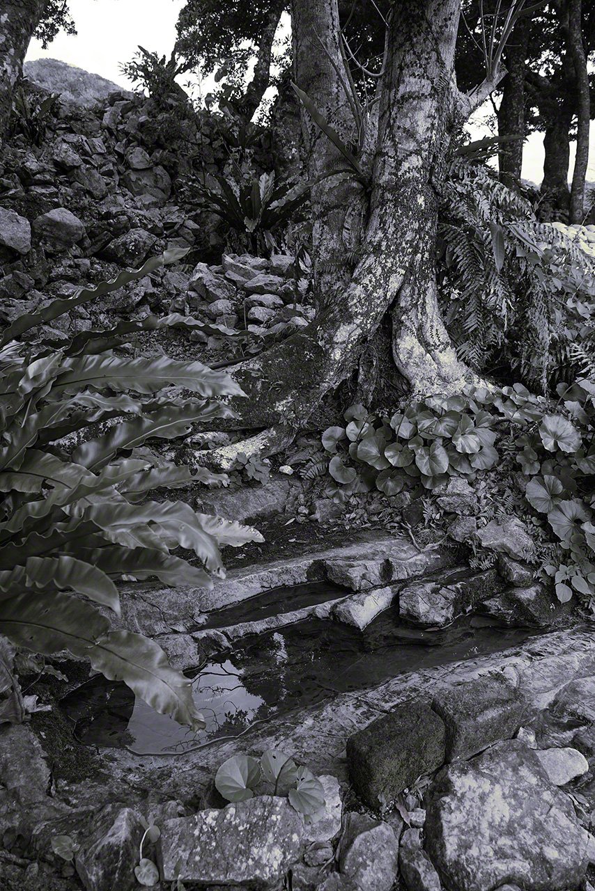 The Karaukā, a sacred source of natural water that supported the religious life of the court, in which women played a central role. (© Ōsaka Hiroshi)