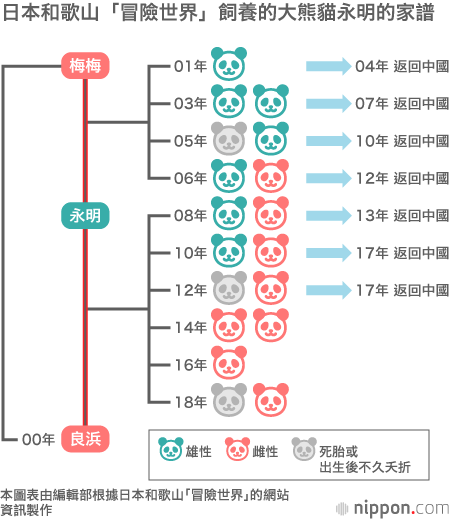 日本和歌山「冒險世界」飼養的大熊貓永明的家譜