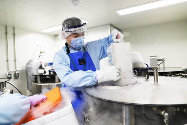 iPS細胞研究財団は臨床用や研究用のiPS細胞を製造し、供給している 写真提供:公益財団法人京都大学iPS細胞研究財団