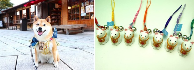 A la izquierda, un perro ataviado de o-kageinu fotografiado en la zona comercial Okage Yokochō, a la entrada del Gran Santuario de Ise. A la derecha, las populares correas decorativas con motivo de o-kageinu. (Cortesía de Okage Yokochō)
