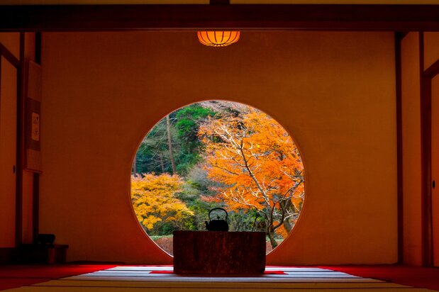 Les couleurs chatoyantes de l’automne resplendissent à travers la « fenêtre d’illumination » du Meigetsu-in.