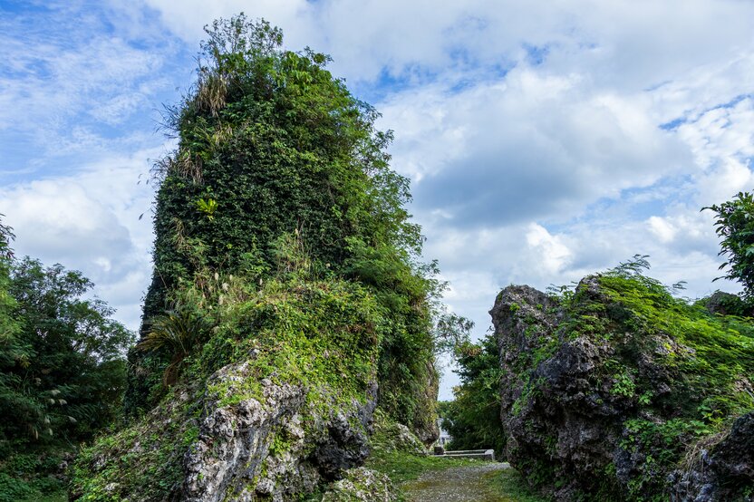 Wakajirī, lugar sacro. (Fotografía: redacción de nippon.com)