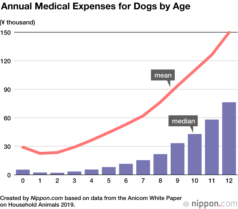 Poodle Power: Small Dogs with Long Life Expectancy Remain Popular in Japan