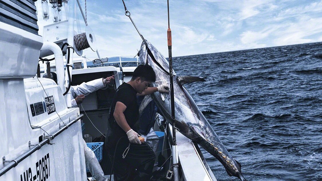 La luminosité sur la mer à l’aube est vite suffisante, mais il reste extrêmement difficile de travailler sur un bateau qui tangue.