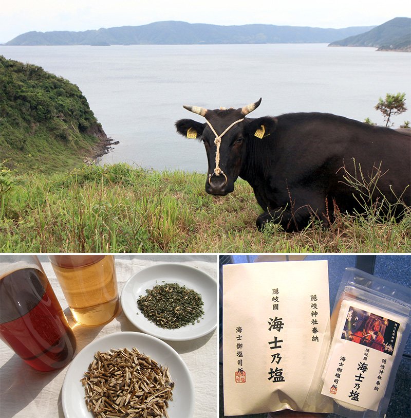 「島生まれ、島育ち」の「隠岐牛」ブランドの牛が、豊かな自然環境の中で飼育されている（写真上段）。さわやかな香りが特徴の「ふくぎ茶」（写真下段左）と保々見湾の海水を使い、伝統的な手しごとで丹念に作られる天然塩の「海士乃塩」