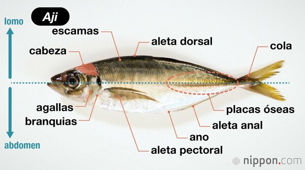Aji (jurel)
