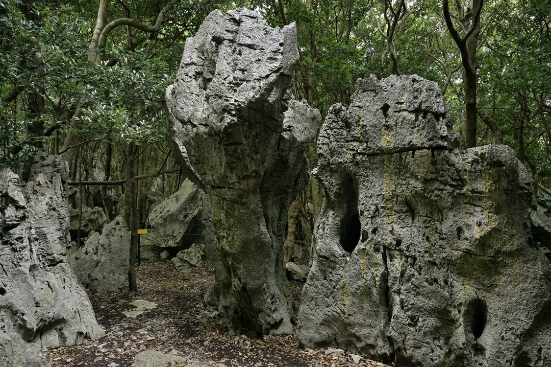 Many of the giant stones at the site are almost lifelike. (© Ōsaka Hiroshi)