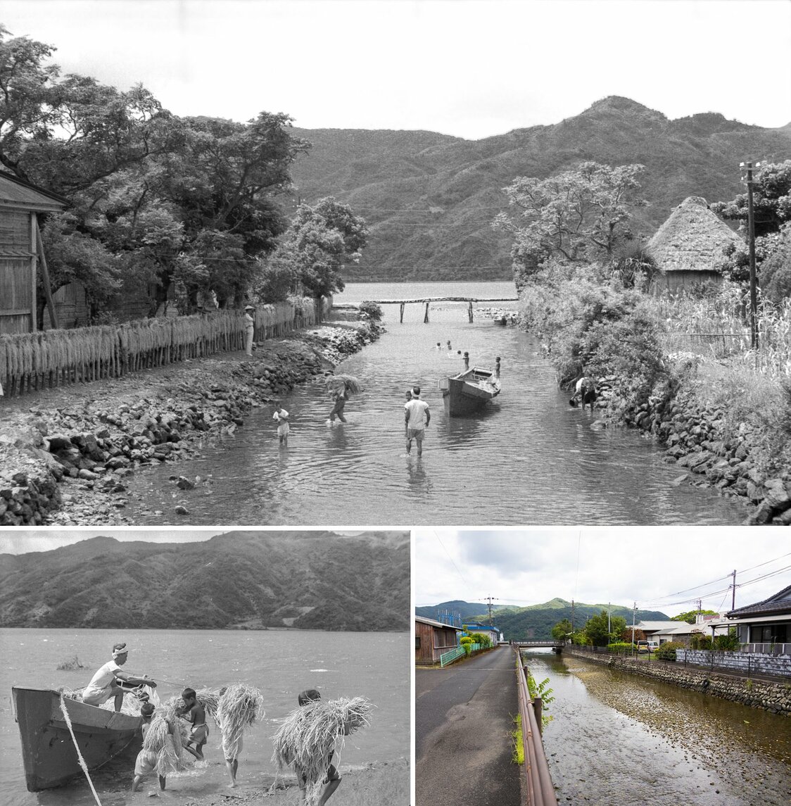 战后的宇检村，河流就是交通干道。孩子们也帮忙收割稻谷（摄影：nippon.com日本网）