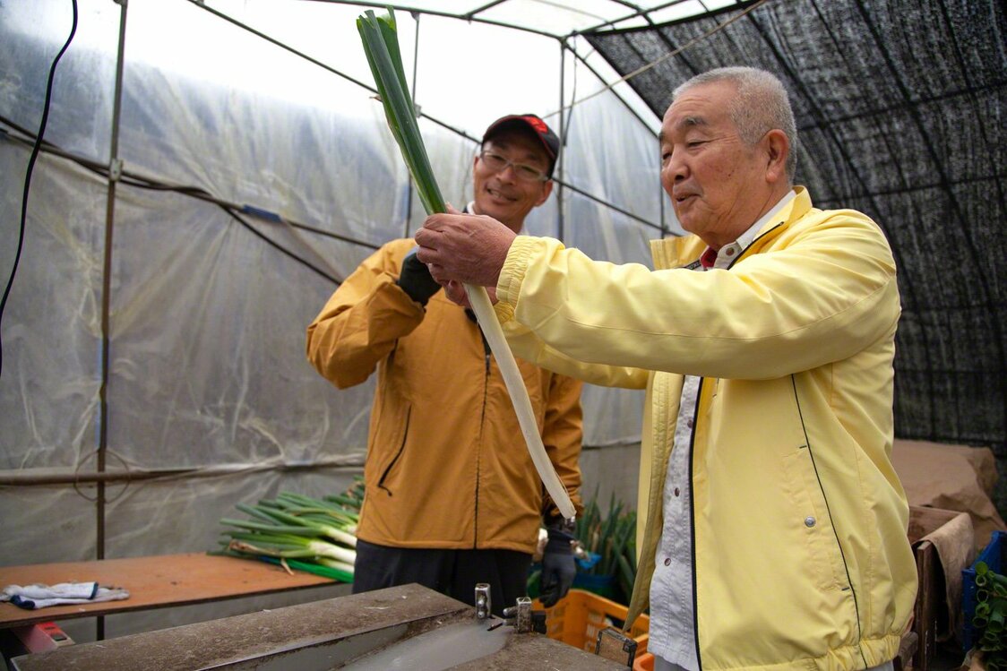 ネギが積まれた農作業小屋で、中原さんと談笑