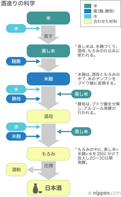 進化し続ける日本酒（11）—味の決め手となる麹（こうじ）・「而今」（三重県）—