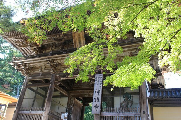 神護寺は文覚・後白河法皇・源頼朝ら大河ドラマの主要キャストとゆかり深い。京都の紅葉名所としても知られる。ドラマの影響もあり、コロナが落ち着けば観光客でにぎわうだろう(PIXTA)