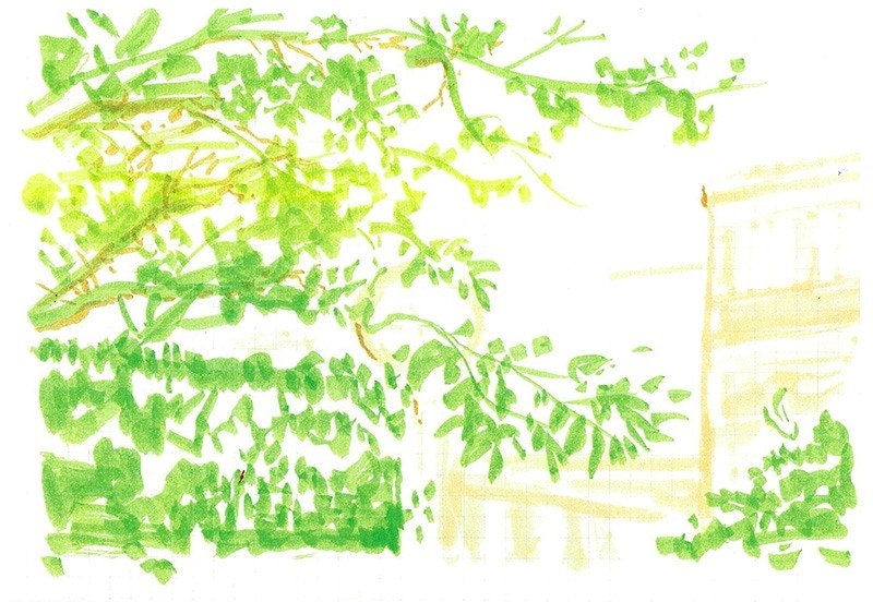 Avec l’aimable autorisation de Shogakukan. © PAPIER 2017