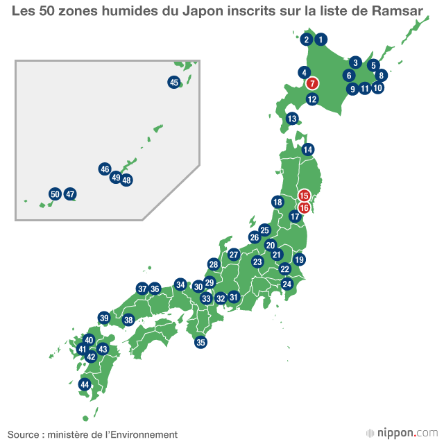 Précieux visiteurs ou ravageurs ? Apprendre à vivre avec les oies sauvages du Japon