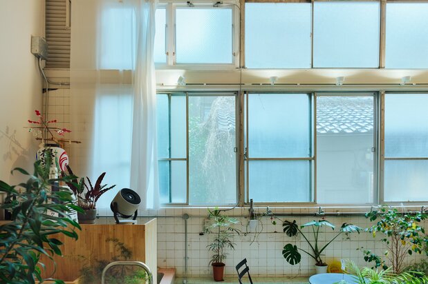 La luz entra por las ventanas acristaladas de una de las paredes.