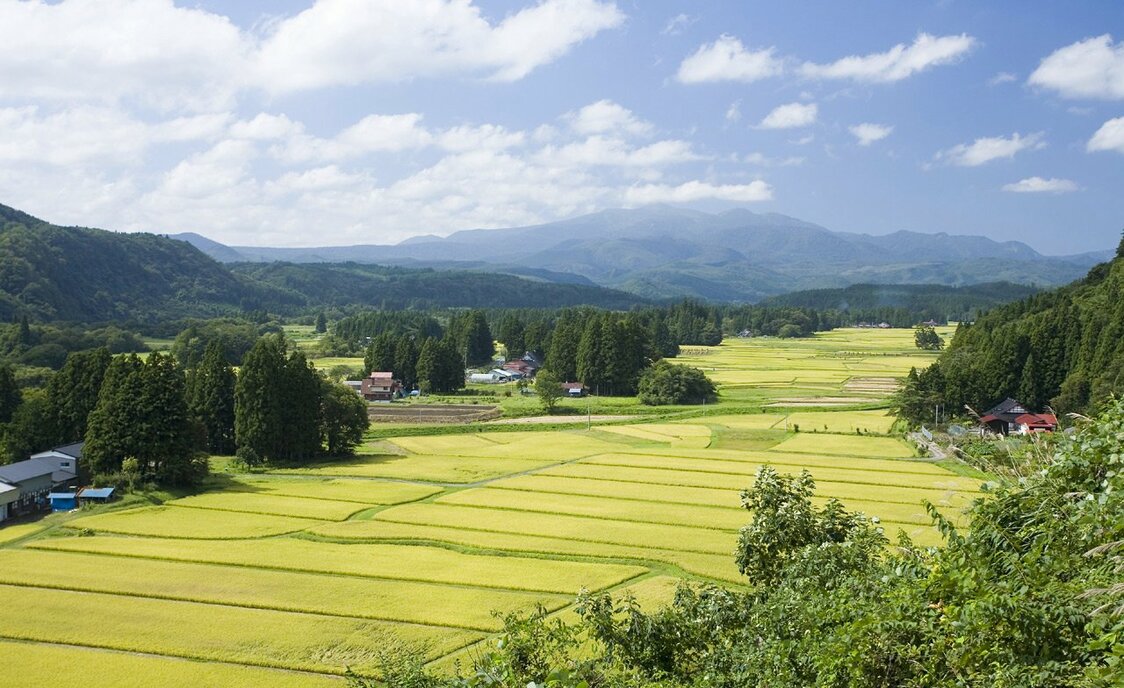 The unchanging medieval-period landscape at the remains of the Honedera-mura shōen estate. (Photo courtesy of Iwate Prefecture.)