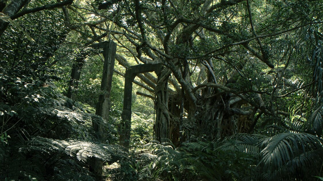 西表島、© 2021 Moolin Films, Ltd. & Moolin Production, Co., Ltd.