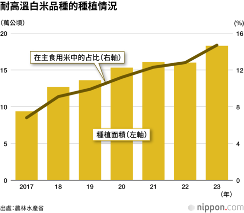 耐高溫白米品種的種植情況