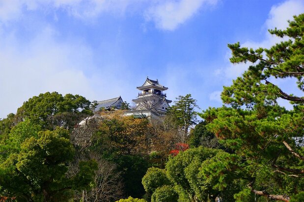 El castillo de Kōchi en lo alto de su colina. (© Gianni Simone)