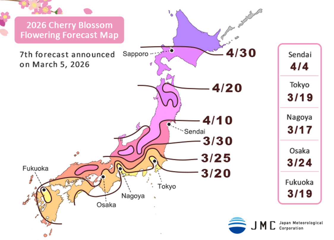 Japan’s Cherry Blossom Forecast 2026: A Sakura Season Guide