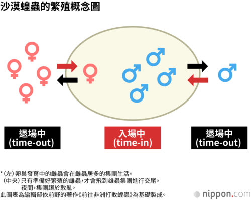 沙漠蝗蟲的繁殖概念圖