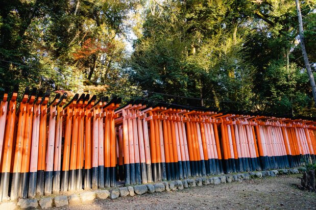 A side view of the senbon torii gates, standing in a dense row, at Fushimi Inari Shrine. (© Pixta)