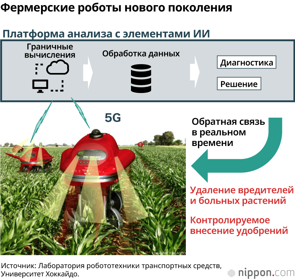 На передовой «умного» земледелия: как технологические достижения меняют облик сельского хозяйства