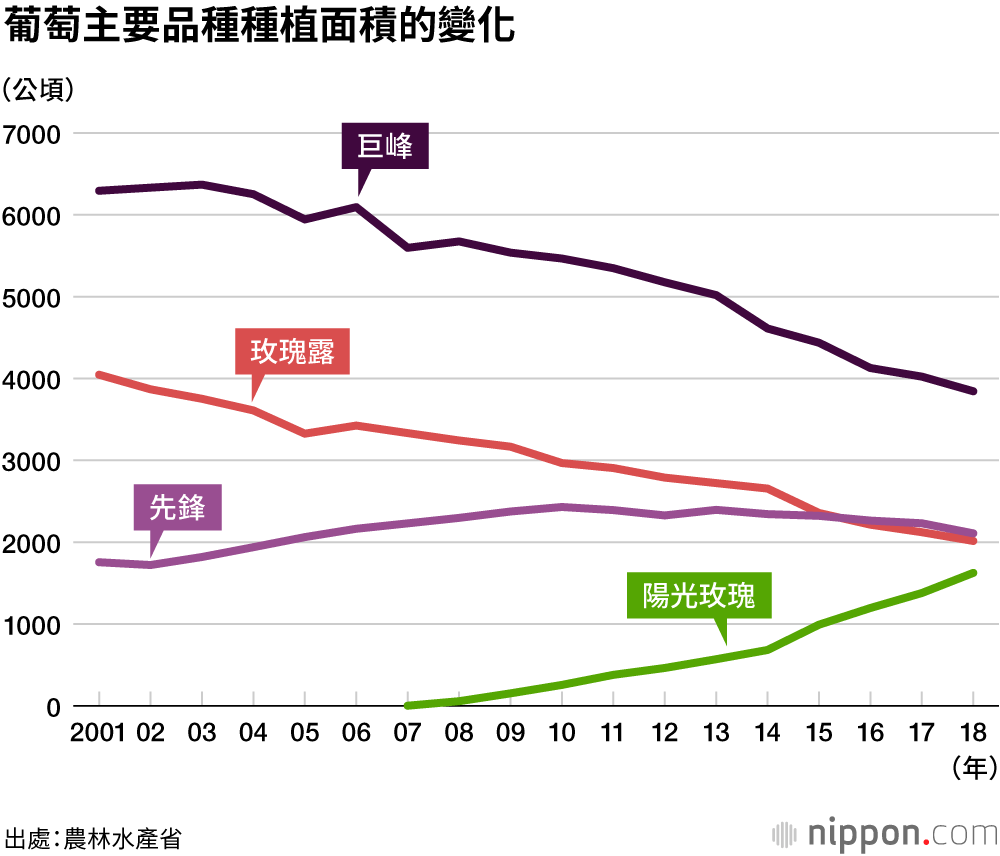 黃綠品種葡萄受歡迎度超越紅色和黑色品種——「陽光玫瑰」葡萄人氣急升