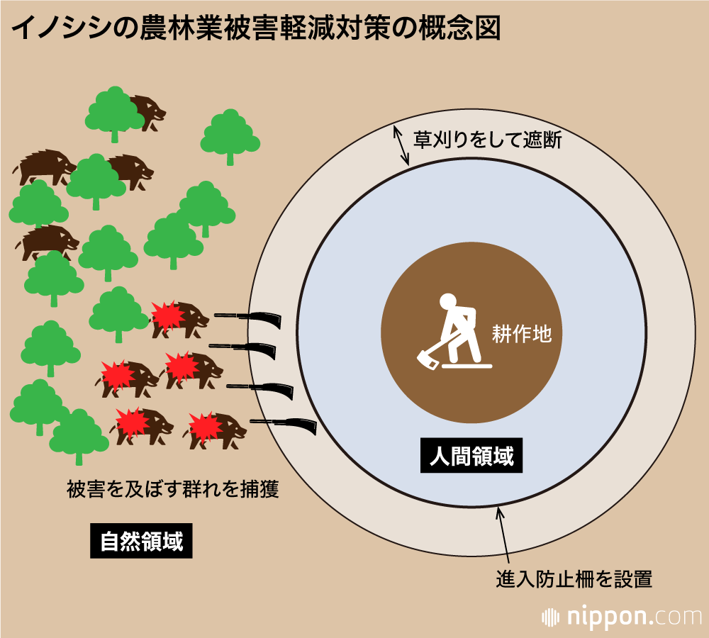 イノシシと人間のあつれき：野生動物との共存を考える