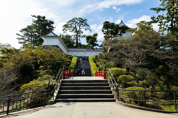 The Tokiwagi Gate is at the top of the stone steps. Hanashōbu (German iris) bloom under the vermillion bridge.