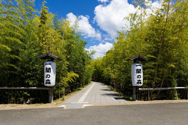 The entrance to tourist hotspot Ichiran no Mori. (© Nippon.com)
