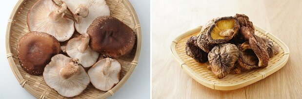 生(左)、干しシイタケ