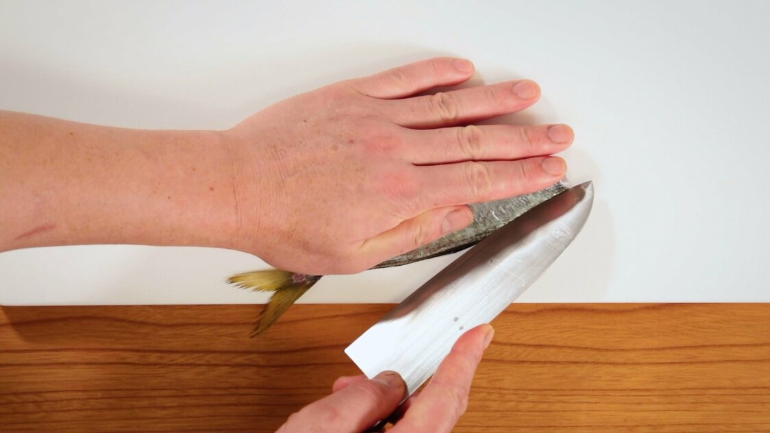 Japanese Seafood Culture: How to Fillet a Horse Mackerel
