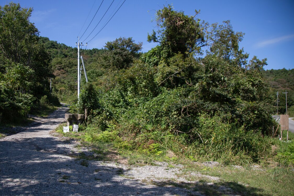 The site for the planned Muslim cemetery in Hiji, as seen on October 7, 2020. It is in the surrounding hills, 15 minutes by car from the town center. (© Suzuki Kantarō)