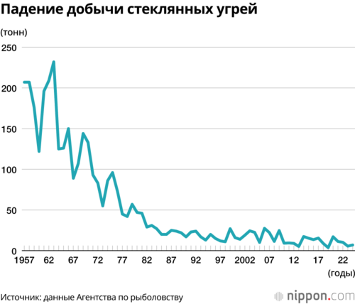 Падение добычи стеклянных угрей