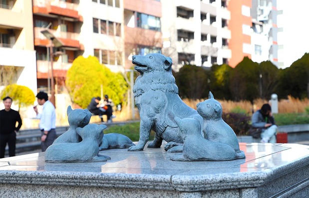 Monumento a Chirori a la entrada del parque Tsukijigawa Ginza. En las cercanías está el centro de atención a la tercera edad al que la perra era llevada para efectuar la terapia. (Fotografía: Amano Hisaki)