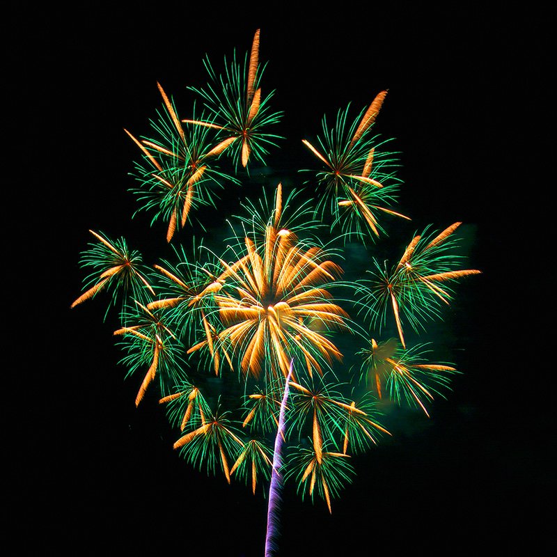 “Fuegos artificiales en forma de pequeñas flores”; ciudad de Nagano (prefectura de Nagano), durante la Competición de Fuegos Artificiales de Nagano Ebisu