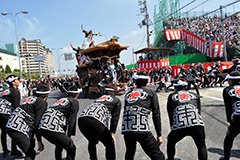 写真提供＝岸和田市役所