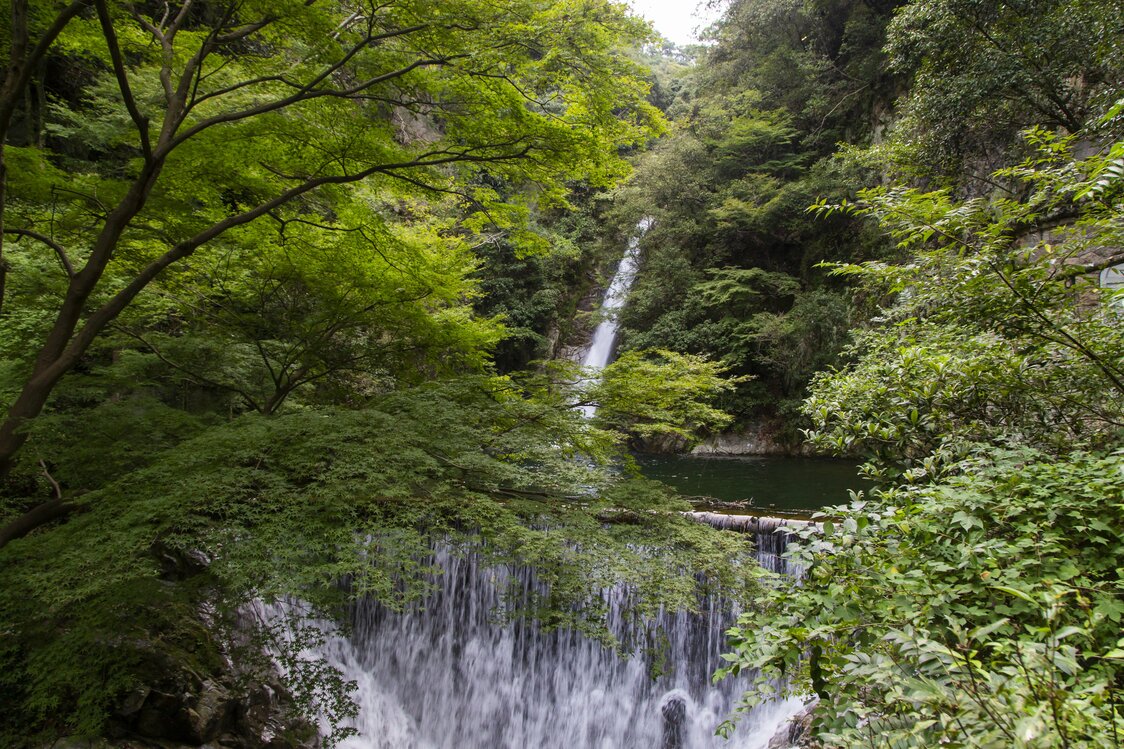 Una vista de la rebosante naturaleza que rodea a la cascada Mentaki, a solo cinco minutos de la estación del tren bala.