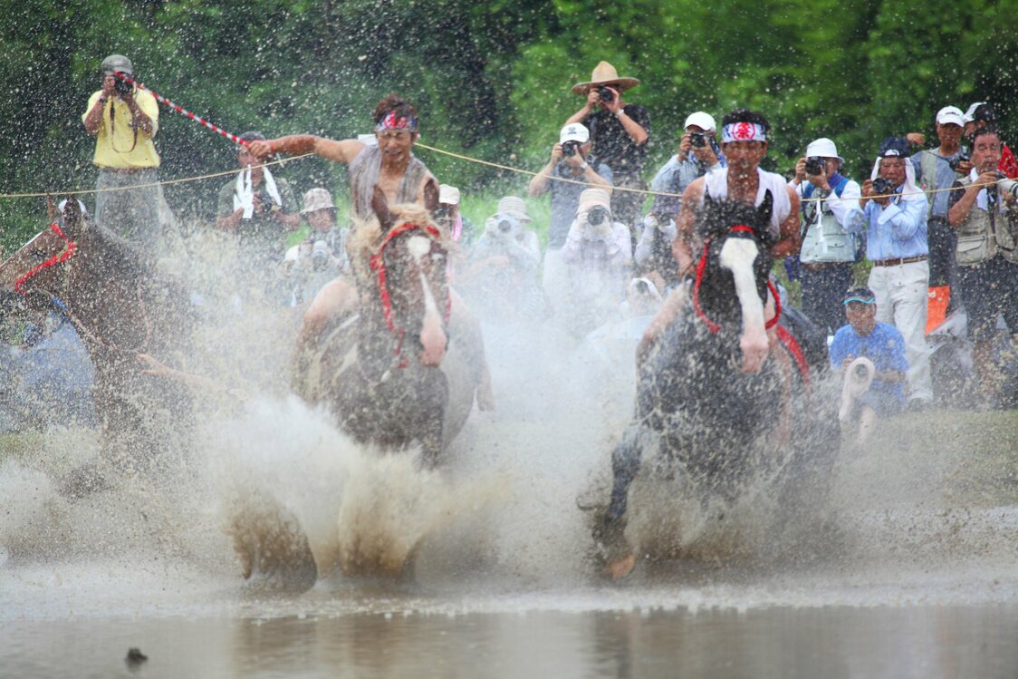 Caballos rebeldes, corpulentos y de patas robustas son los protagonistas del umaire.