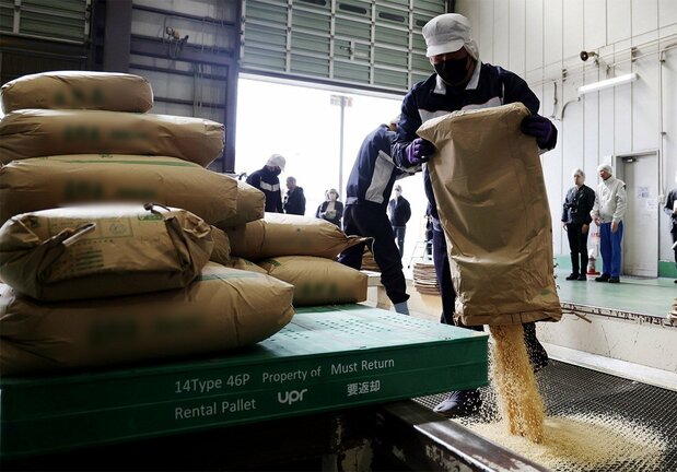 埼玉县一家精米加工厂的工人正在对政府储备米进行拆袋,2025年3月18日(时事社)
