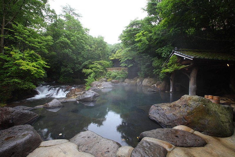 （写真提供　山みず木）