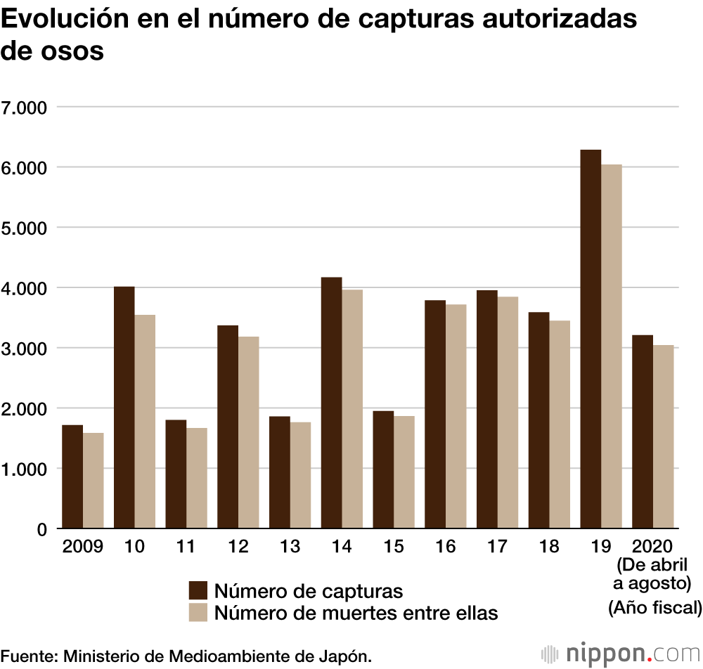 Los avistamientos de osos aumentan en Japón