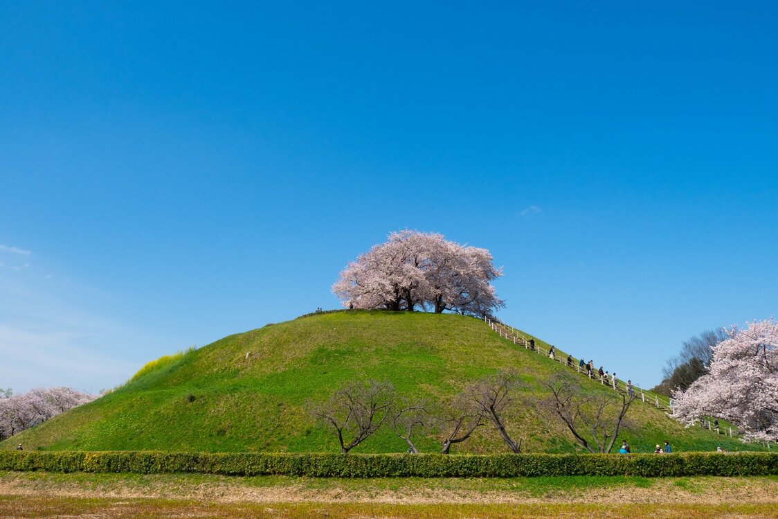 さきたま古墳公園 = 埼玉県行田市（フォトAC） / 5世紀後半から7世紀はじめころまでに作られた9基の大型古墳が群集