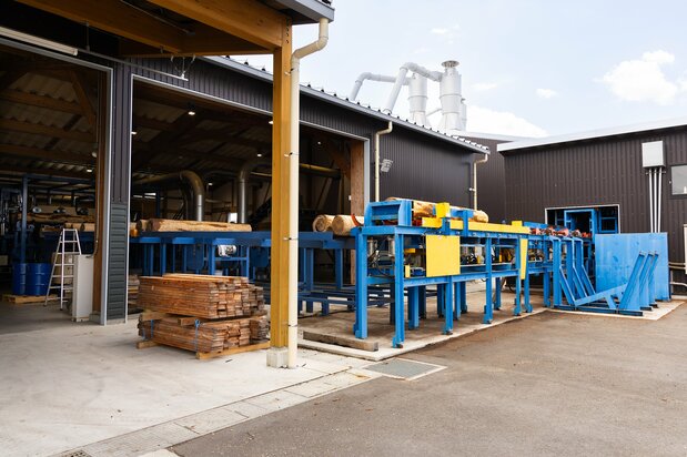 Logs that are too large for standard saws are more labor-intensive to process. (© Nippon.com)