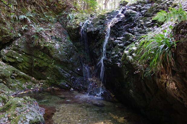 La cascade qui se trouve dans l’enceinte du château de Hachiôji. Après l’histoire tragique des femmes suicidées, certains pensent qu’elle est hantée. (Pixta)