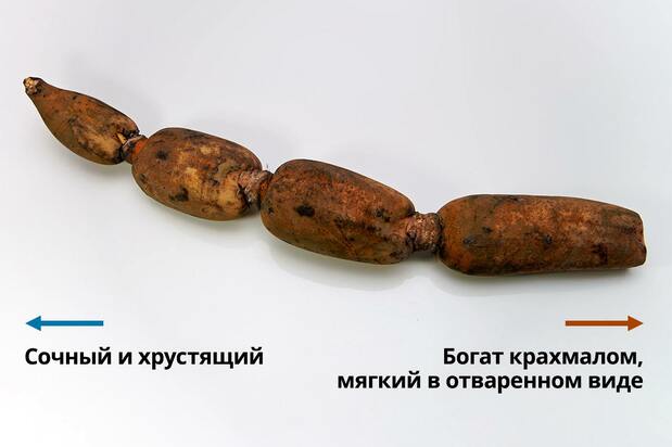 (PIXTA)