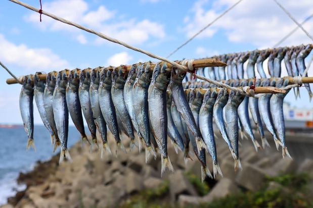 Himono de sardinas. (Pixta)