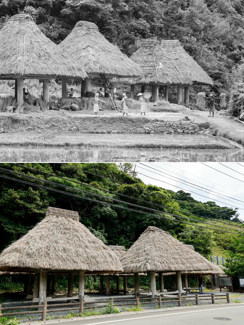 奄美大島・大和村の群倉（ぼれぐら）。文化財として保存され、県道沿いにたたずむ（芳賀日向撮影）