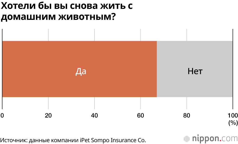 Хотели бы вы снова жить с домашним животным?